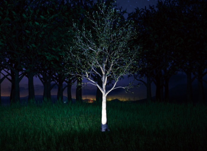 支笏湖 イルミナ ヒストリア4